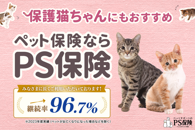 PS保険70％プラン キャンペーン