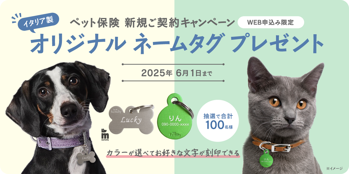 げんきナンバーわんスリム70%プラン キャンペーン