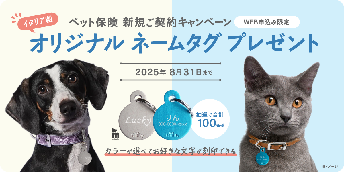 げんきナンバーわんスリム70%プラン キャンペーン