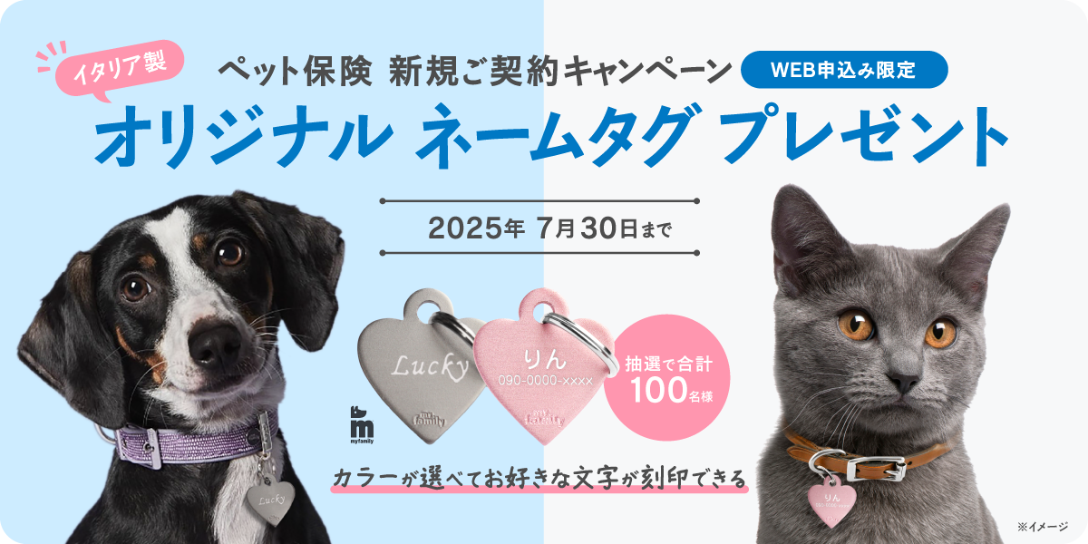保険料が安いペット保険ランキング キャンペーン