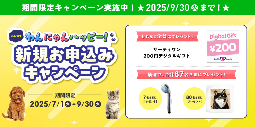 保険料が安いペット保険ランキング キャンペーン