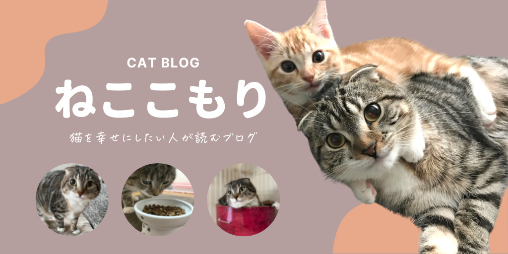 ねこぞー公式ブログ｜ねこぞーと猫たちのプロフィール